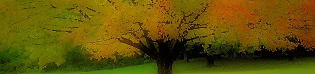 Pro-Cathedral of the Assumption